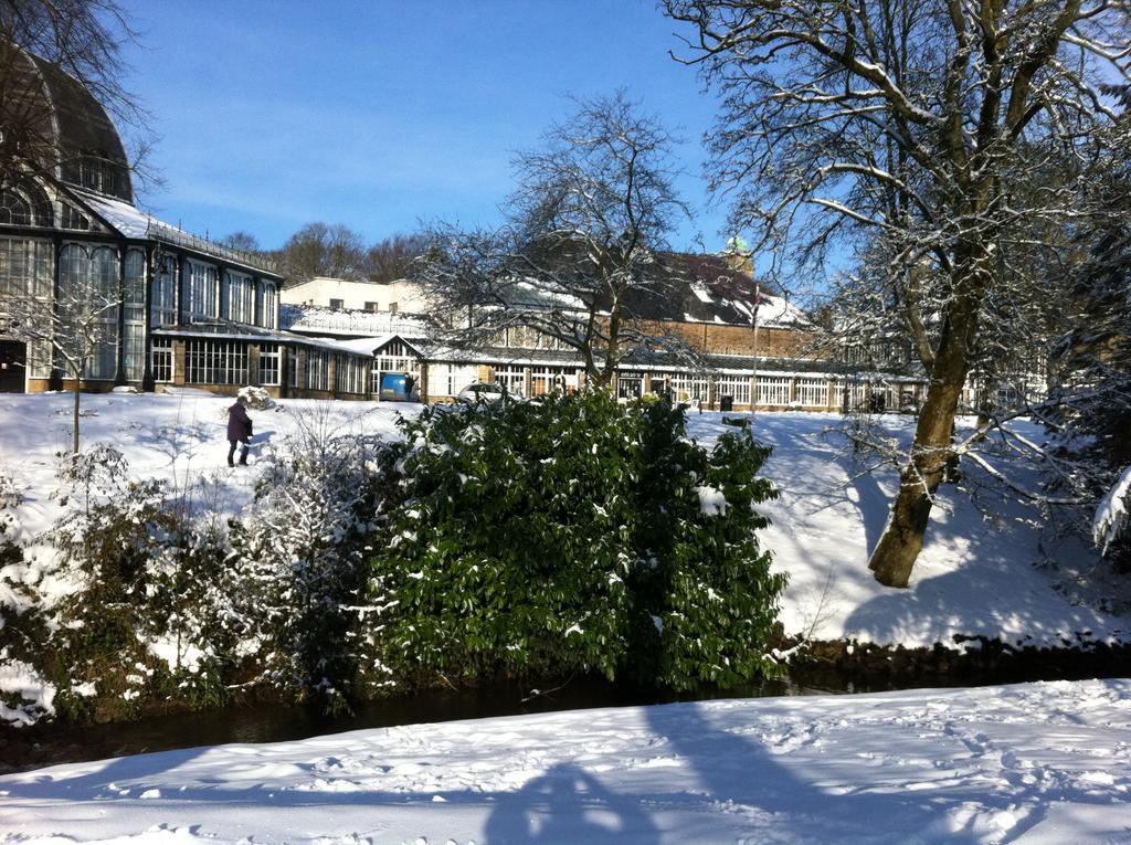 Solomons Peak Apartment Buxton  Bagian luar foto